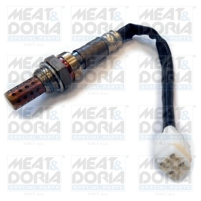Oxygen Sensor